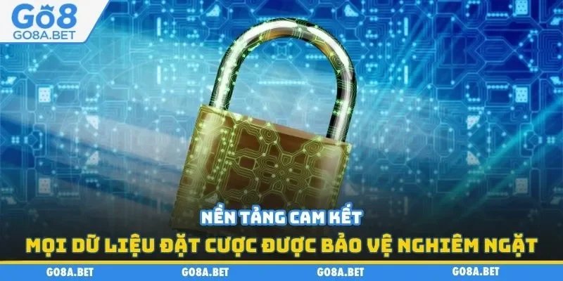 Nền tảng cam kết mọi dữ liệu cược được bảo vệ nghiêm ngặt