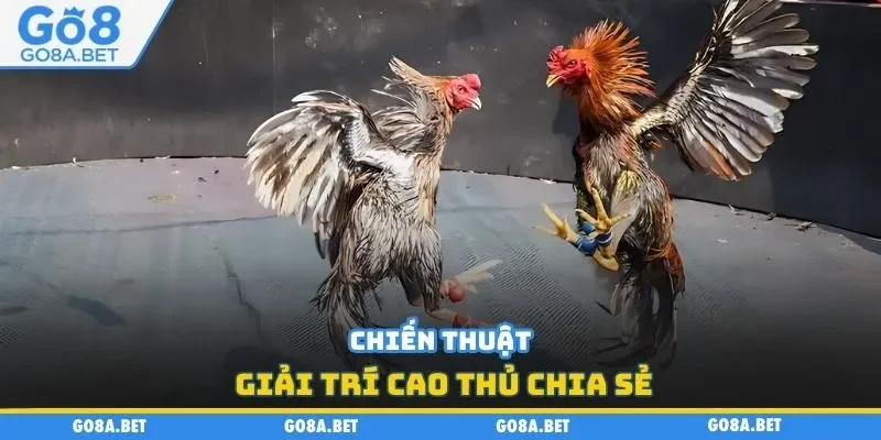 Chiến thuật giải trí cao thủ chia sẻ