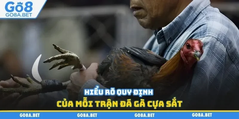 Hiểu rõ quy định của mỗi trận đá gà cựa sắt