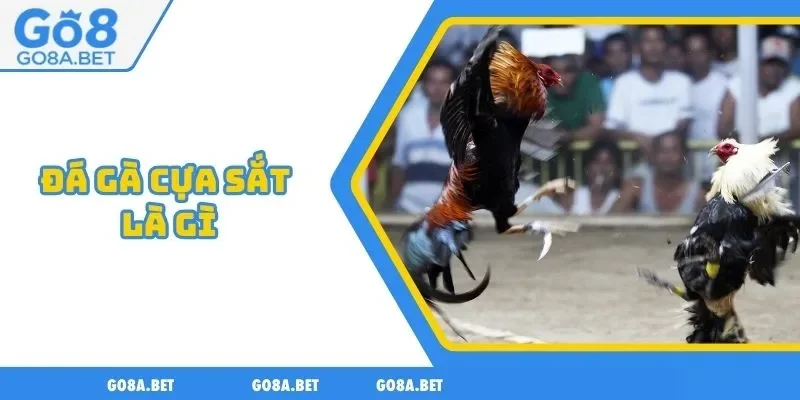 đá gà cựa sắt là gì