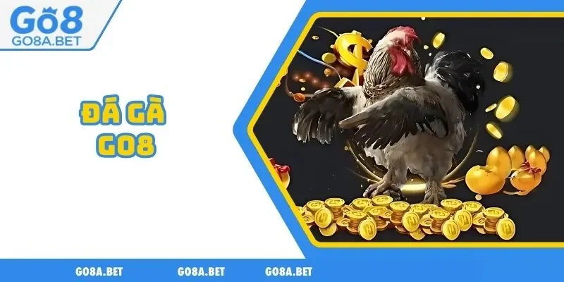 ĐÁ GÀ Go8