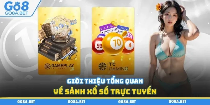 Giới thiệu tổng quan về sảnh xổ số trực tuyến