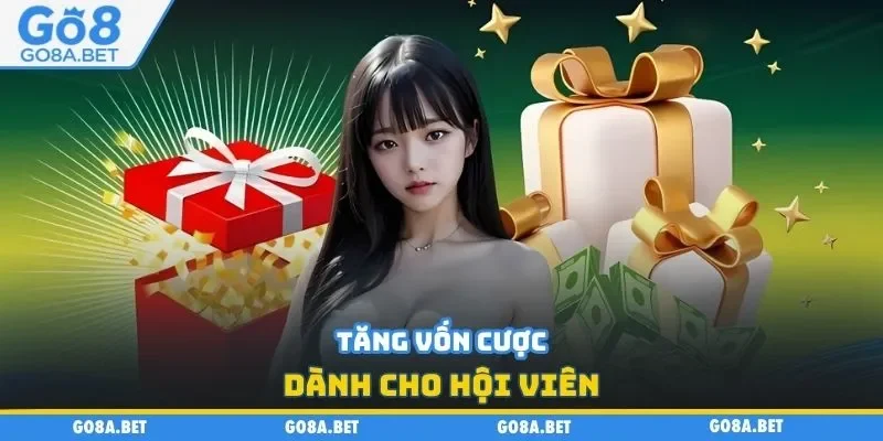Tăng vốn cược dành cho hội viên