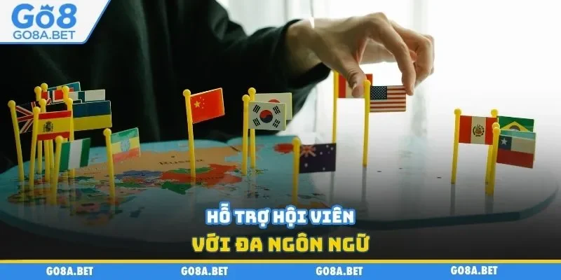 Hỗ trợ hội viên với đa ngôn ngữ