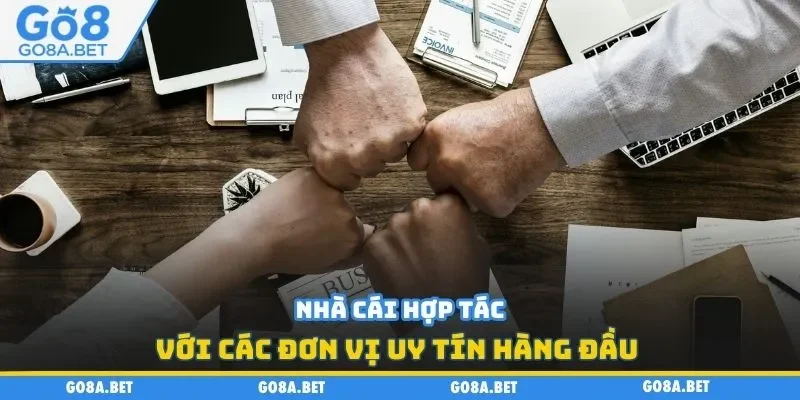 Nhà cái hợp tác với các đơn vị uy tín hàng đầu