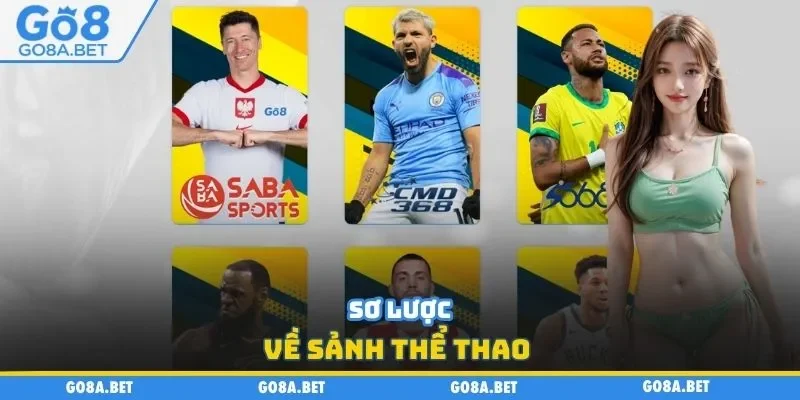 Sơ lược về sảnh thể thao