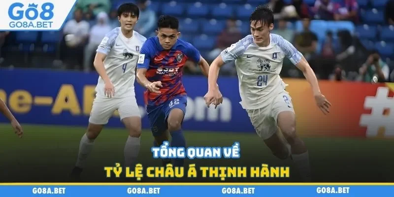Tổng quan về tỷ lệ châu Á thịnh hành