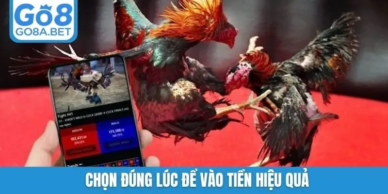 Chọn đúng lúc để vào tiền hiệu quả