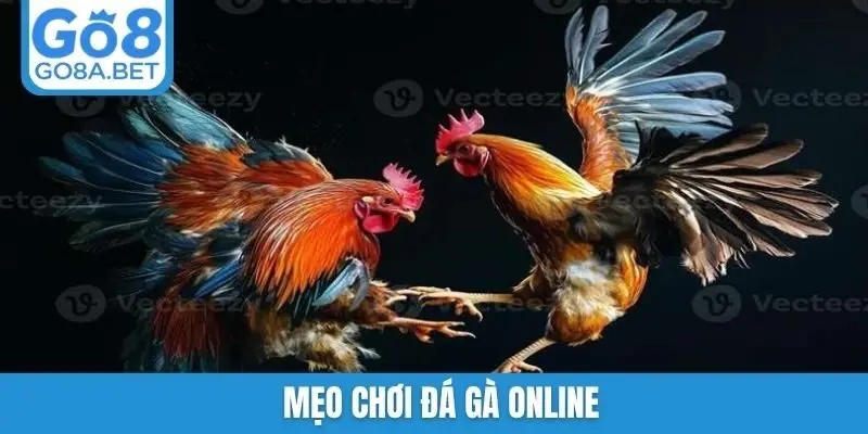 Mẹo chơi đá gà online