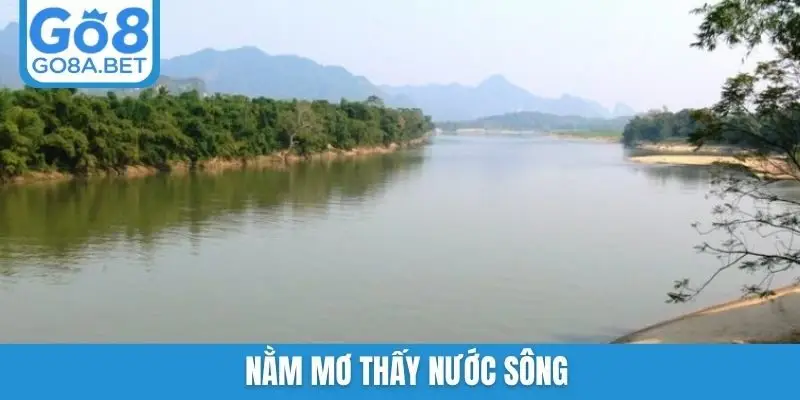 Nằm mơ thấy nước sông