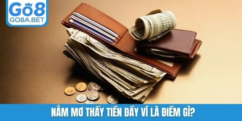 Nằm mơ thấy tiền đầy ví là điềm gì?