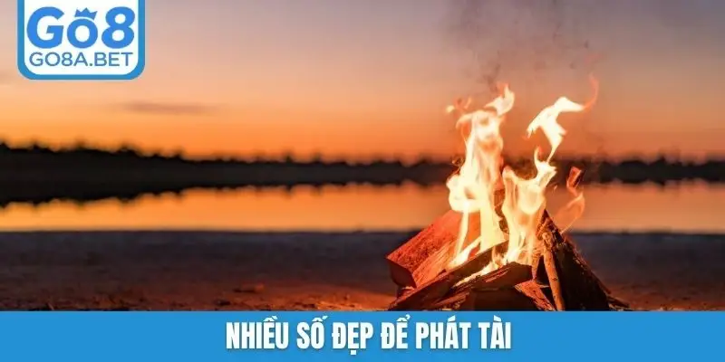 Nhiều số đẹp để phát tài