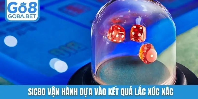 Sicbo vận hành dựa vào kết quả lắc xúc xắc