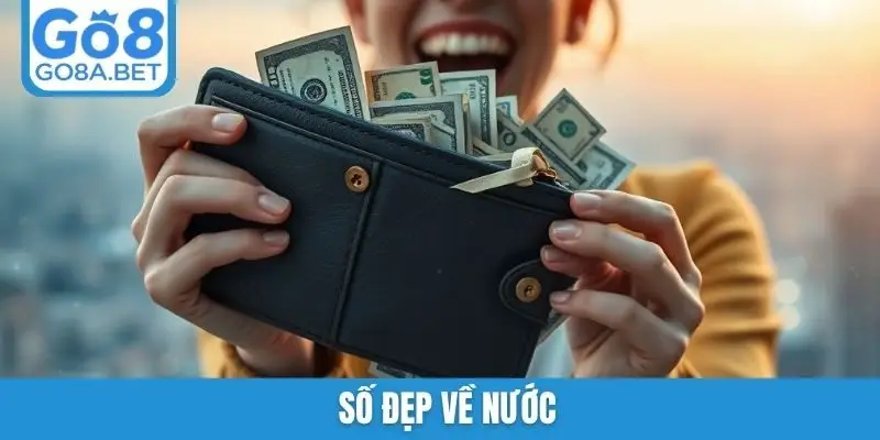 Số đẹp về nước