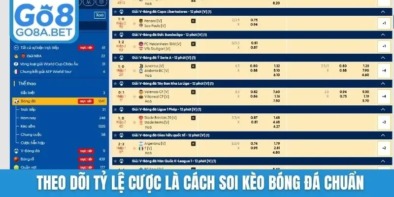 Theo dõi tỷ lệ cược là cách soi kèo bóng đá chuẩn